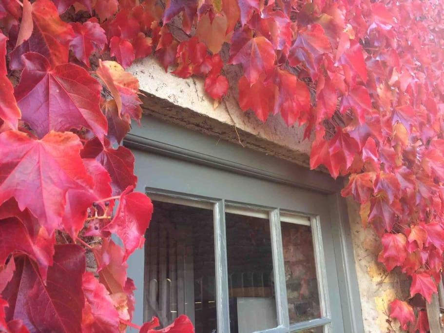 Blacksmith'S Barn - Cosy, Chilled & Dog Friendly. Wykeham  Екстериор снимка